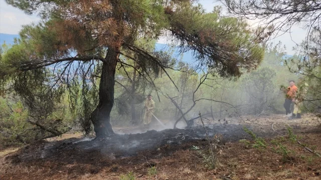 Çorum'da Yıldırım Düşmesi İki Ayrı Noktada Yangın Çıkardı