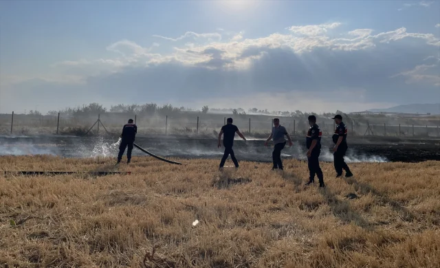 Amasya Merzifon'da Tarım Arazisi Yangını Büyük Kayıplara Yol...