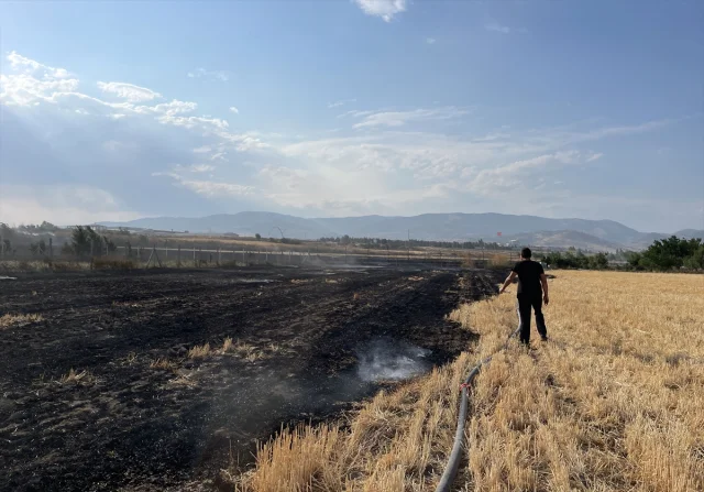 Amasya Merzifon'da Tarım Arazisi Yangını Büyük Kayıplara Yol Açtı