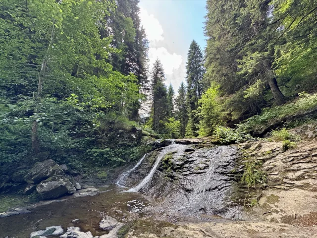 Giresun Paşakonağı Yaylası'nda Doğanın Sesi ve Manzarası Büyülüyor