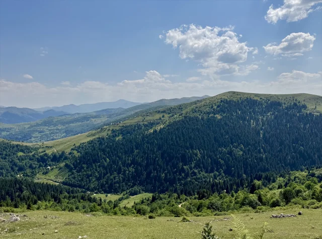Giresun Paşakonağı Yaylası'nda Doğanın Sesi ve Manzarası Büyülüyor
