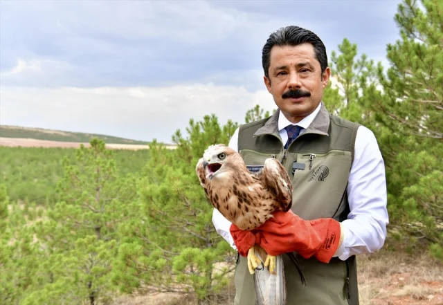 Kırşehir'in Özgür Kanatları Yeniden Doğayla Buluştu