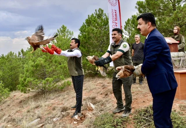 Kırşehir'in Özgür Kanatları Yeniden Doğayla Buluştu
