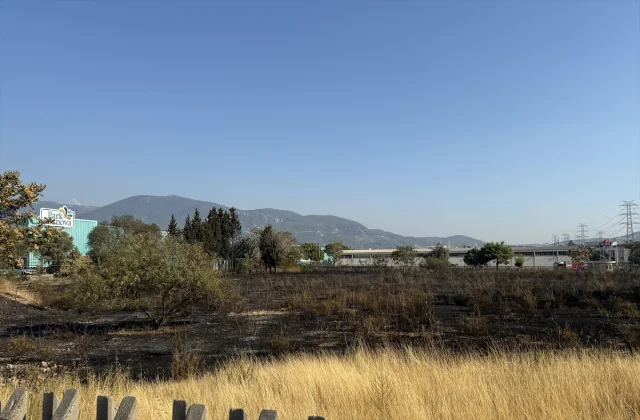 İzmir'de Çıkan Yangınla Mücadele: Detaylar ve Son Durum