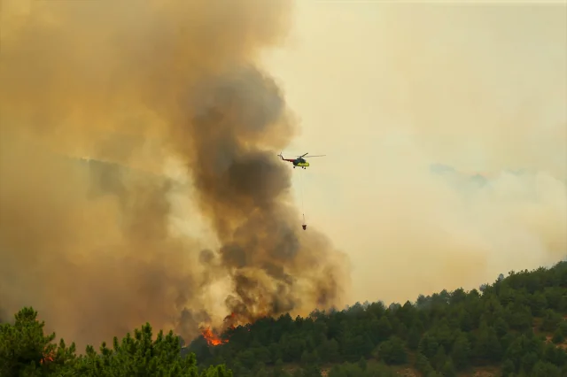 Uşak'ta Orman Yangını Hızla Yayılıyor: Ekipler Müdahale Etti