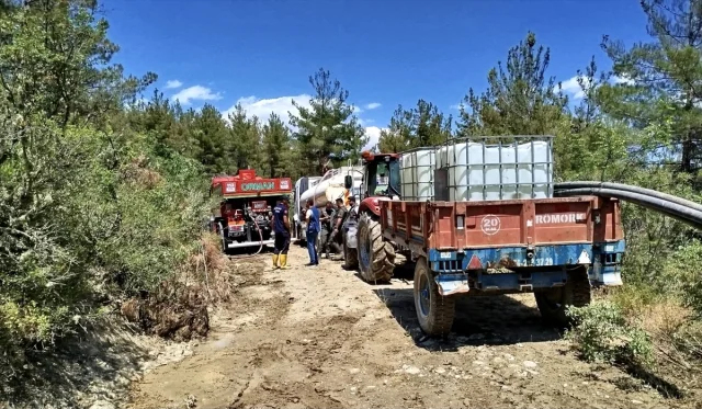 Sinop'ta Orman Yangını: Dört Saatlik Çalışmayla Söndürüldü