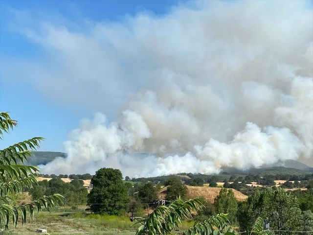 Bilecik'teki Tarım Arazisi Yangını Ormana Sıçradı
