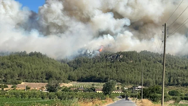 Sakarya'da Orman Yangınına Müdahale Çalışmaları Devam Ediyor