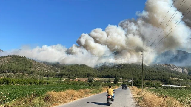 Sakarya'da Orman Yangınına Müdahale Çalışmaları Devam Ediyor
