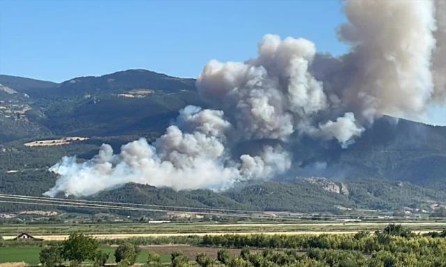 Sakarya'da Orman Yangınına Müdahale Çalışmaları Devam Ediyor