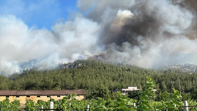 Sakarya'da Orman Yangınına Müdahale Çalışmaları Devam Ediyor