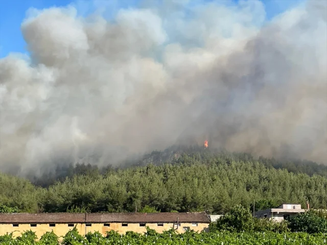 Sakarya'da Orman Yangınına Müdahale Çalışmaları Devam Ediyor