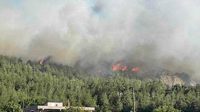 Sakarya'da Orman Yangınına Müdahale Çalışmaları Devam Ediyor