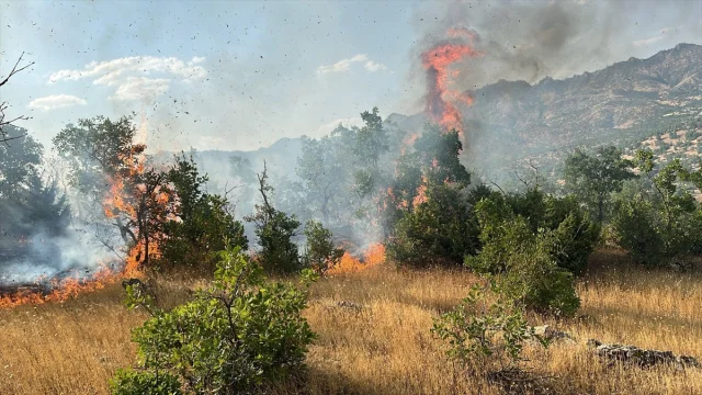 Bingöl'ün Ormanlarında Çıkan Yangınlar Hızla Kontrol Altına Alındı