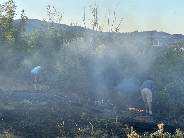 Düzce'deki Örtü Yangını Hızla Kontrol Altına Alındı