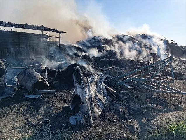 Bursa'da Et Çiftliğindeki Yangın Korkuttu