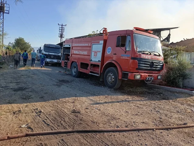 Bursa'da Et Çiftliğindeki Yangın Korkuttu