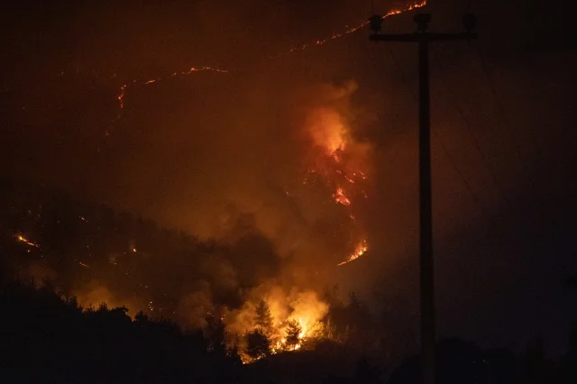 Sakarya'da Alevlerle Mücadele: Geyve'deki Orman Yangını Tahl...