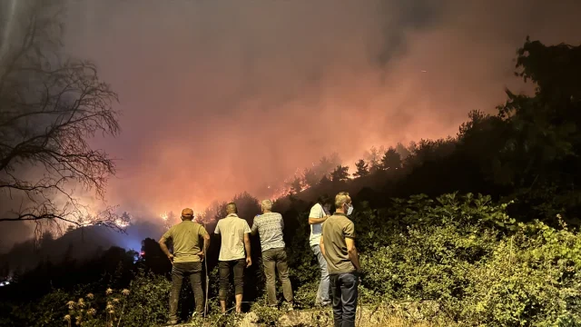 Sakarya'da Alevlerle Mücadele: Geyve'deki Orman Yangını Tahliyelere Yol Açtı