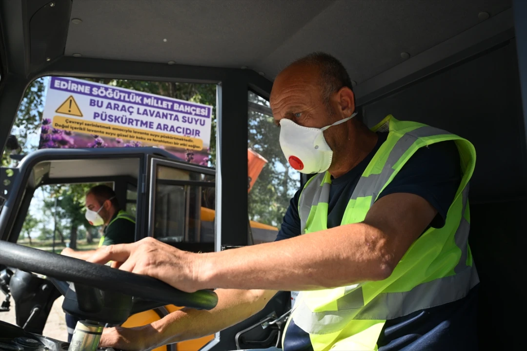 Edirne Millet Bahçesi'nde Lavanta Kokulu Serinletici Uygulama