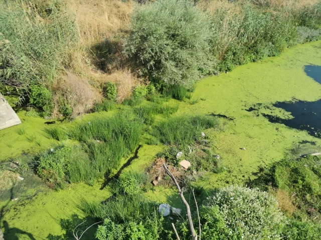 Lüleburgaz Deresi Kuraklıkla Yok Oluyor