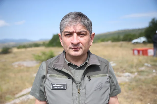 Kastamonu'da Kınalı Keklikler Doğaya Can Veriyor