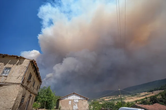 Sakarya'daki Orman Yangını Bilecik'e Kadar Ulaştı