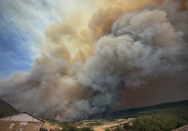 Sakarya ve Bilecik'te Orman Yangını Tehlikesi Sürüyor
