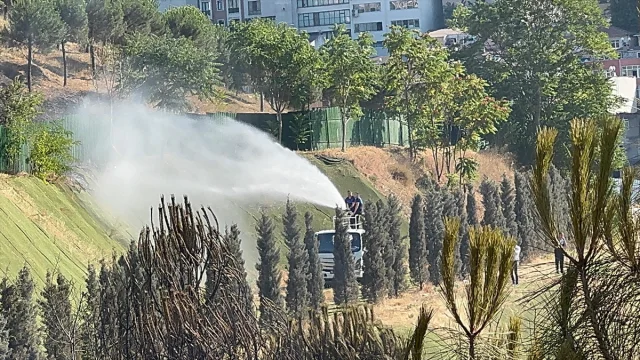 Kağıthane'nin Yeşil Kalbinde Çıkan Yangın Büyük Çaba ile Kontrol Altına Alındı