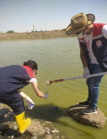 Şırnak'taki Göletlerde Balık Ölümleri Araştırılıyor