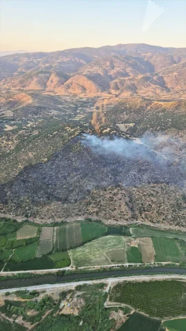Aydın'da Makilik Alanda Çıkan Yangın Hızla Kontrol Altına Al...