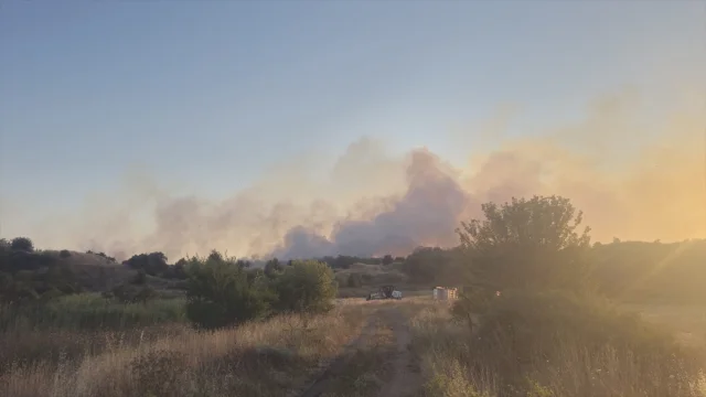 Tekirdağ'da Orman Yangını Alarmı 20 Dekar Alan Zarar Gördü