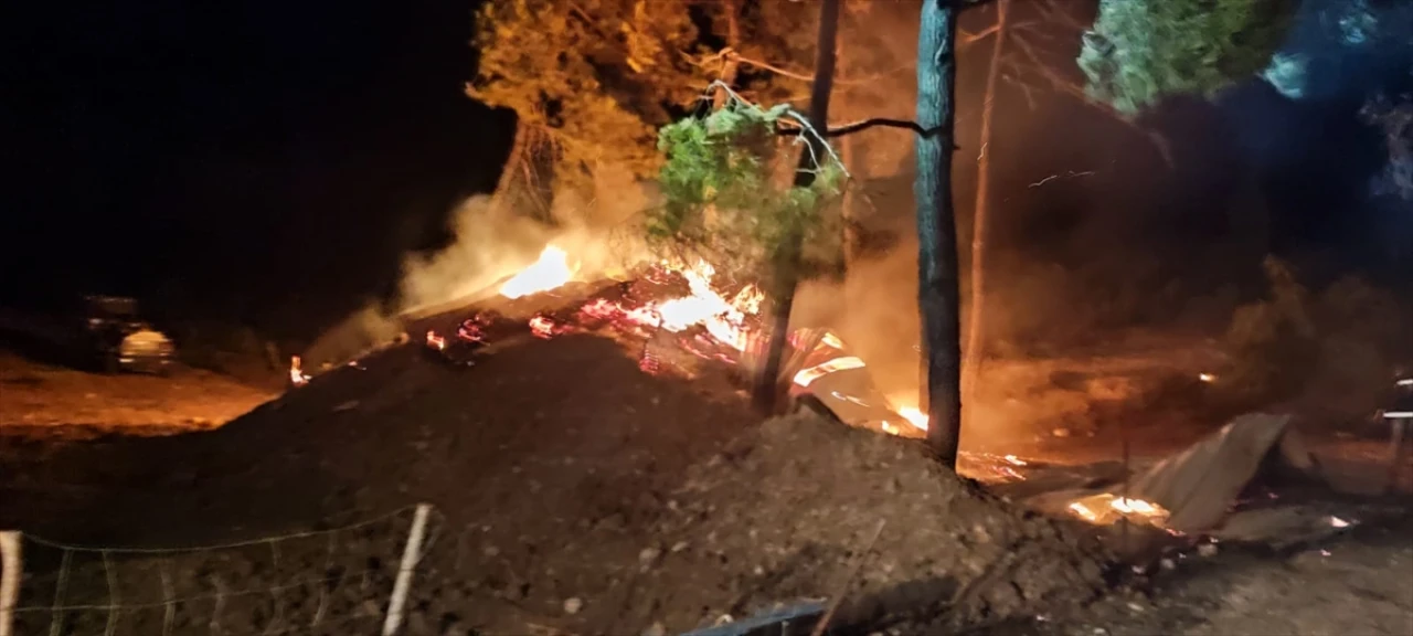 Bilecik'te Çiftlikte Başlayan Yangın Ormana Sıçradı