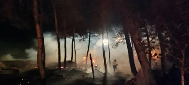 Bilecik'te Çiftlikte Başlayan Yangın Ormana Sıçradı