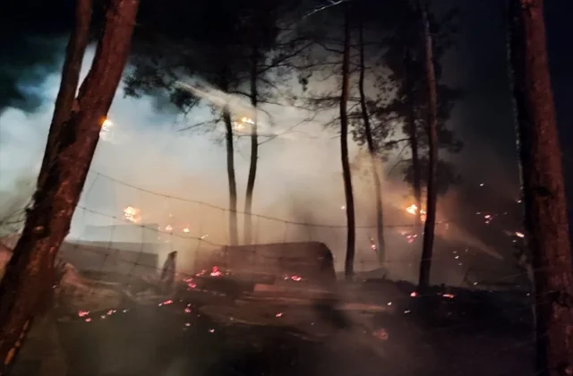 Bilecik'te Çiftlikte Başlayan Yangın Ormana Sıçradı