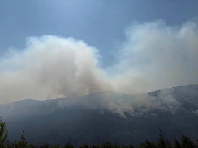 Sakarya ve Bilecik'te Orman Yangını Tüm Hızıyla Devam Ediyor