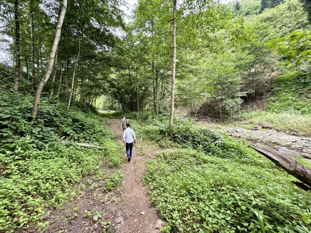 Trabzon'da Turizmin Yeni Cazibe Merkezi: Kazan Gölü Kanyonu