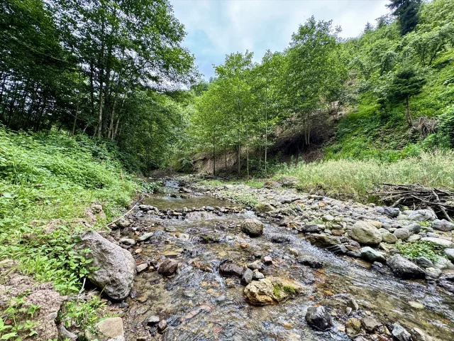 Trabzon'da Turizmin Yeni Cazibe Merkezi: Kazan Gölü Kanyonu
