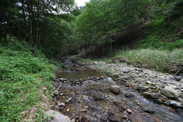 Trabzon'da Turizmin Yeni Cazibe Merkezi: Kazan Gölü Kanyonu