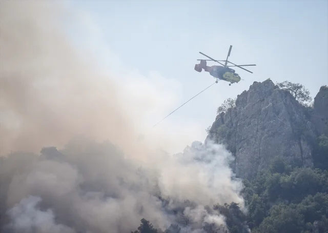Sakarya ve Bilecik'te Orman Yangını Tüm Hızıyla Devam Ediyor