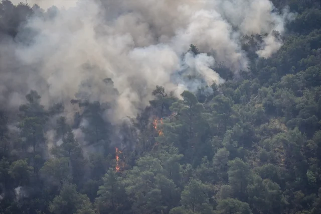 Sakarya ve Bilecik'te Orman Yangını Tüm Hızıyla Devam Ediyor