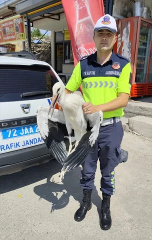 Batman'da Jandarma Yaralı Leyleği Kurtardı: Tedavi Süreci Başladı