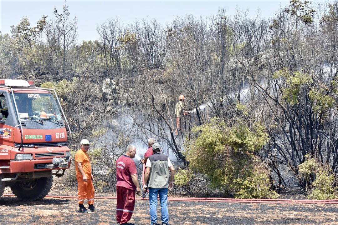 Antalya'da Orman Yangını Başarılı Müdahale ile Kontrol Altında
