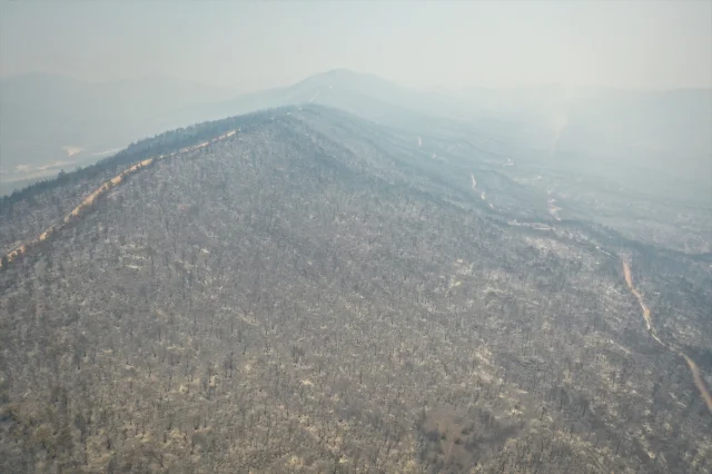 Sakarya ve Bilecik'te Orman Yangını Tüm Hızıyla Devam Ediyor