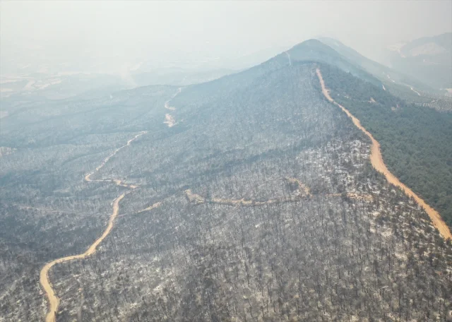 Sakarya ve Bilecik'te Orman Yangını Tüm Hızıyla Devam Ediyor