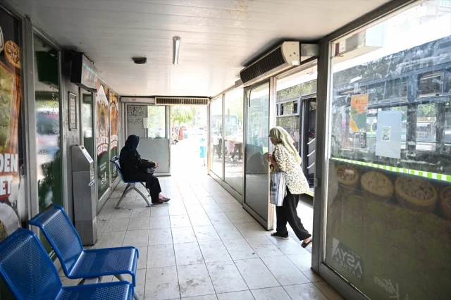 Doğu Akdeniz'de Rekor Sıcaklıklar: Bölgede Yaşam Zorlaştı