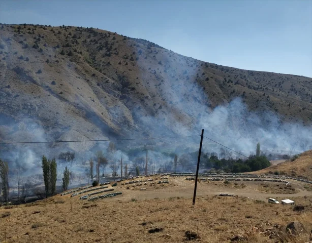 Niğde'nin Postallı Köyünde Çıkan Yangın Hızla Kontrol Altına...