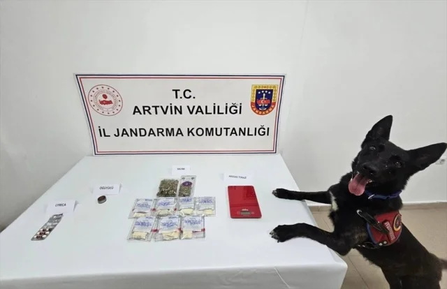 Artvin Arhavi'de Uyuşturucuyla Mücadelede Büyük Adım