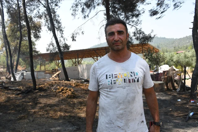 Bilecik'te Girişimcinin Yıllarca Üzerinde Çalıştığı Hayvan Irkları Yok Oldu