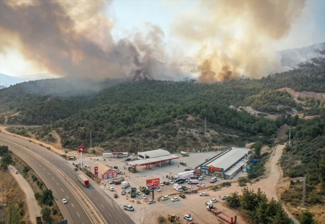 Sakarya ve Bilecik'te Süregelen Orman Yangınına Müdahale Yoğunlaştı